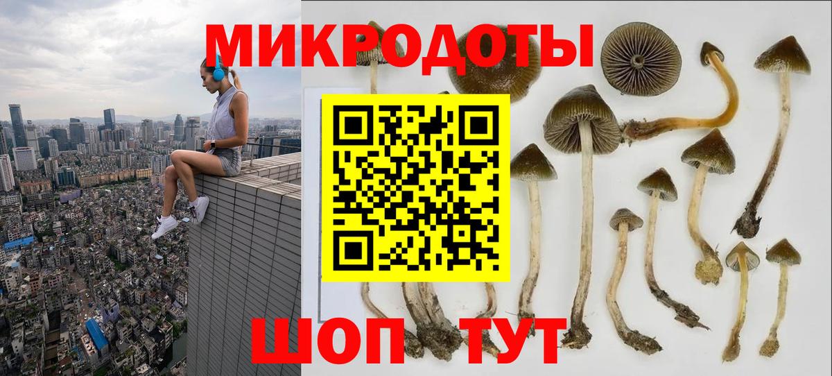 сколько стоит  Псилоцибиновые грибы Magic Shrooms  Вход с VPN  Красноармейск 